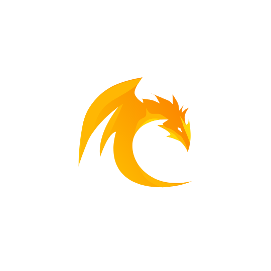 Code Dragon Logo